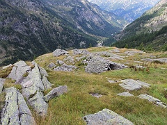 Alpe Schena (mt.1987)